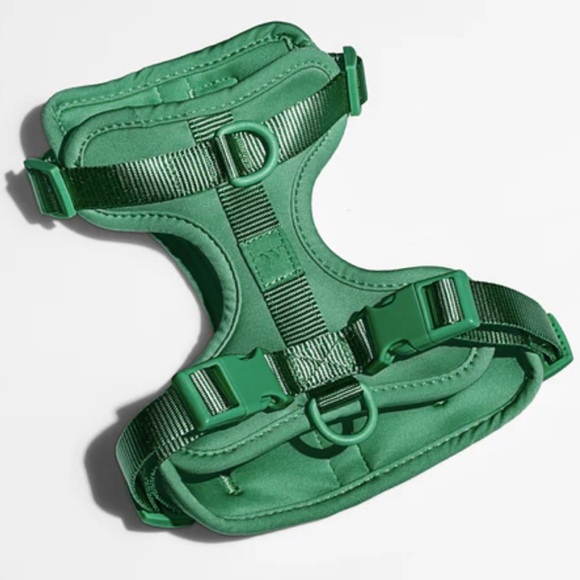 Wild One Dog Harness 3.0  - XS - Spruce - Picture 6 of 13